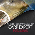 CARP EXPERT PVA IDEAS